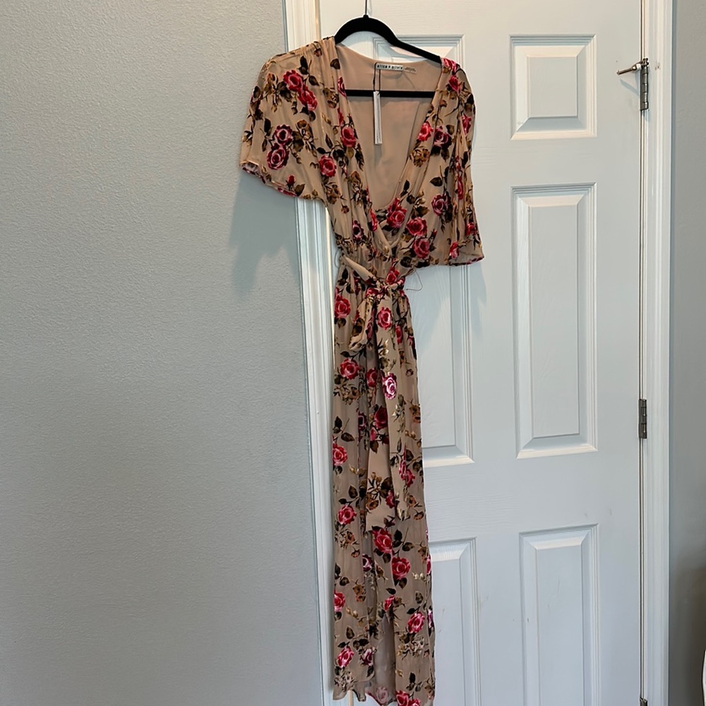 Alice and Olivia dress